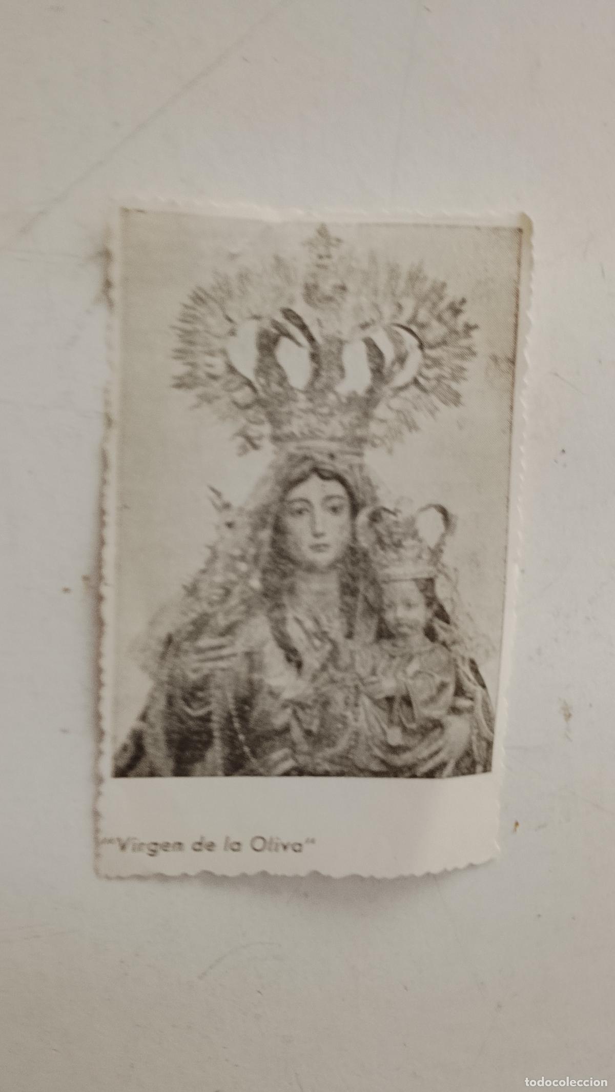 Otros art&iacute;culos de coleccionismo en papel: ANTIGUO RECORTE DE PUBLICACION VIRGEN DE LA OLIVA PATRONA VEJER DE LA FRONTERA CADIZ