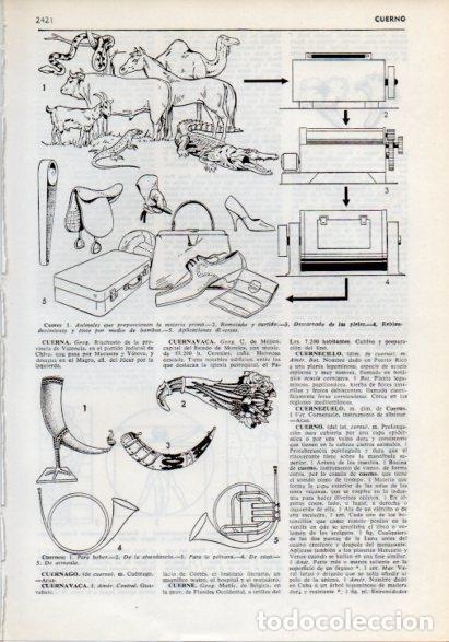 Otros art&iacute;culos de coleccionismo en papel: LAMINA V12282: Proceso fabricacion del cuero y tipos de cuernos - Varios