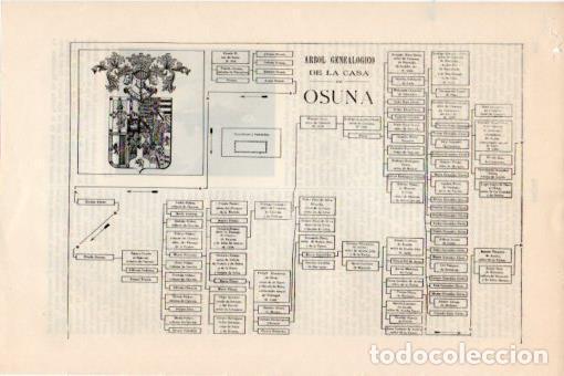 Otros art&iacute;culos de coleccionismo en papel: LAMINA V24162: Entrada Arbol genealogico de la casa de Osuna - Varios