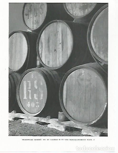 Altri oggetti di carta: LAMINA 10299: Barriles de vino de una bodega canaria - Claudio de la Torre