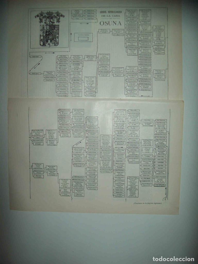 Altri oggetti di carta: LAMINA ESPASA 32960: Arbol genealogico de la casa de Osuna - Varios