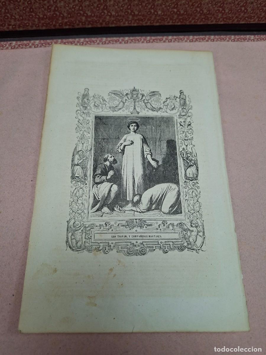Otros art&iacute;culos de coleccionismo en papel: ANTIGUA LAMINA RELIGIOSA GRABADO SAN TRIFON Y COMPA&Ntilde;EROS MARTIRES