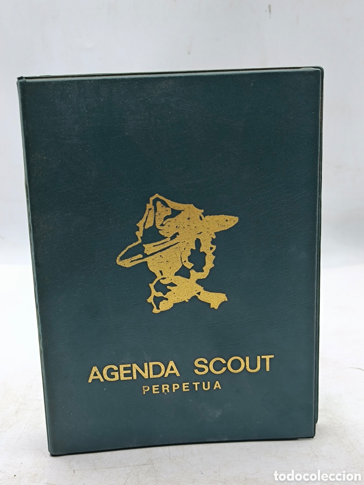 Paper Collecting Others: Agenda Scout perpetua.