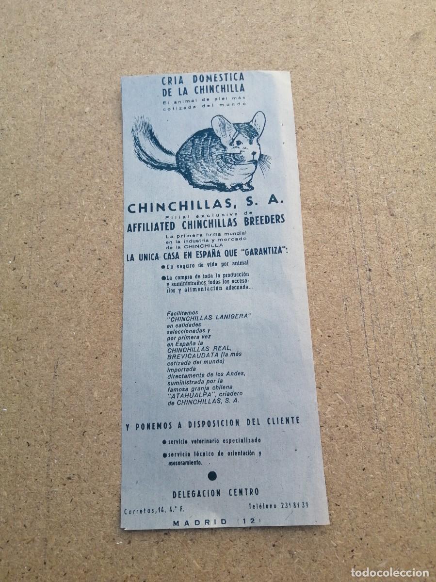 Otros art&iacute;culos de coleccionismo en papel: ANUNCIO. CRIA DOMESTICA DE CHINCHILLAS