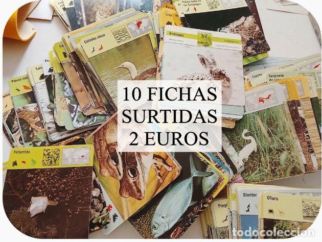 Otros art&iacute;culos de coleccionismo en papel: 10 FICHAS SURTIDAS 2 EUROS . ANIMALES NATURALEZA PECES AVES ANFIBIOS REPTILES PLANTAS ETC