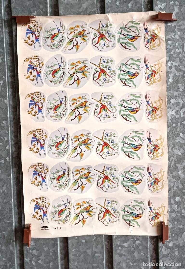 Otros art&iacute;culos de coleccionismo en papel: L&aacute;mina de p&aacute;jaros &ndash; Adhesivos para cristal o cer&aacute;mica // Socor &ndash; France n&ordm; 363 V