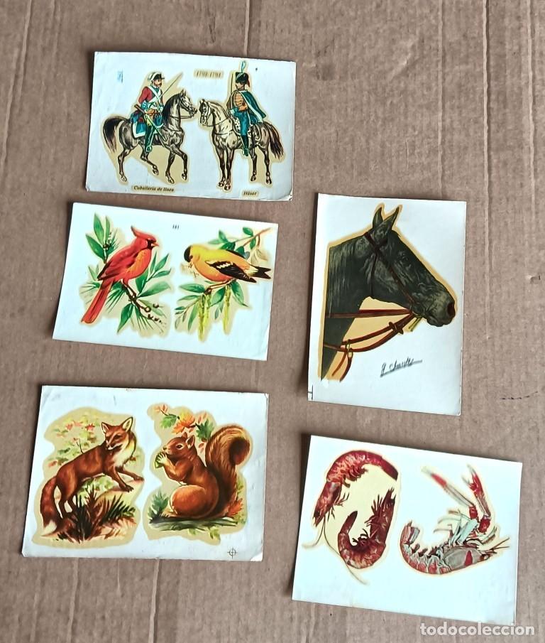 Otros art&iacute;culos de coleccionismo en papel: 5 calcoman&iacute;as animales -- DHAVELI Cristales y cer&aacute;mica