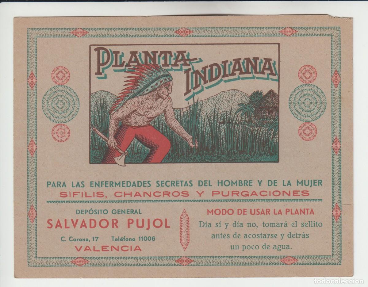 Otros art&iacute;culos de coleccionismo en papel: Proyecto publicitario medicina PLANTA INDIANA / Salvador Pujol Gonz&aacute;lez &ndash; Valencia +/- 1920