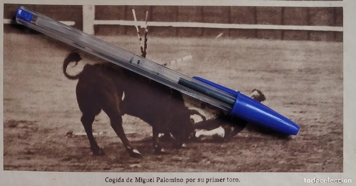 Otros art&iacute;culos de coleccionismo en papel: COGIDA DE MIGUEL PALOMINO TORERO POR SU PRIMER TORO RECORTE DE REVISTA 1931