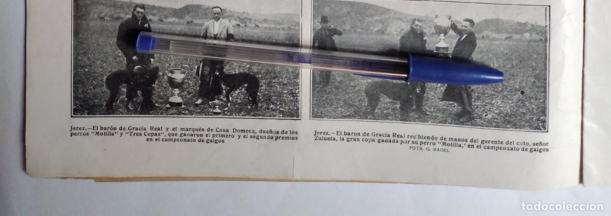 Otros art&iacute;culos de coleccionismo en papel: JEREZ CAMPEONATO DE GALGOS BAR&Oacute;N DE GRACIA REAL MARQU&Eacute;S DE CASA DOMECQ PERRO MOTILLA RECORTE 1923