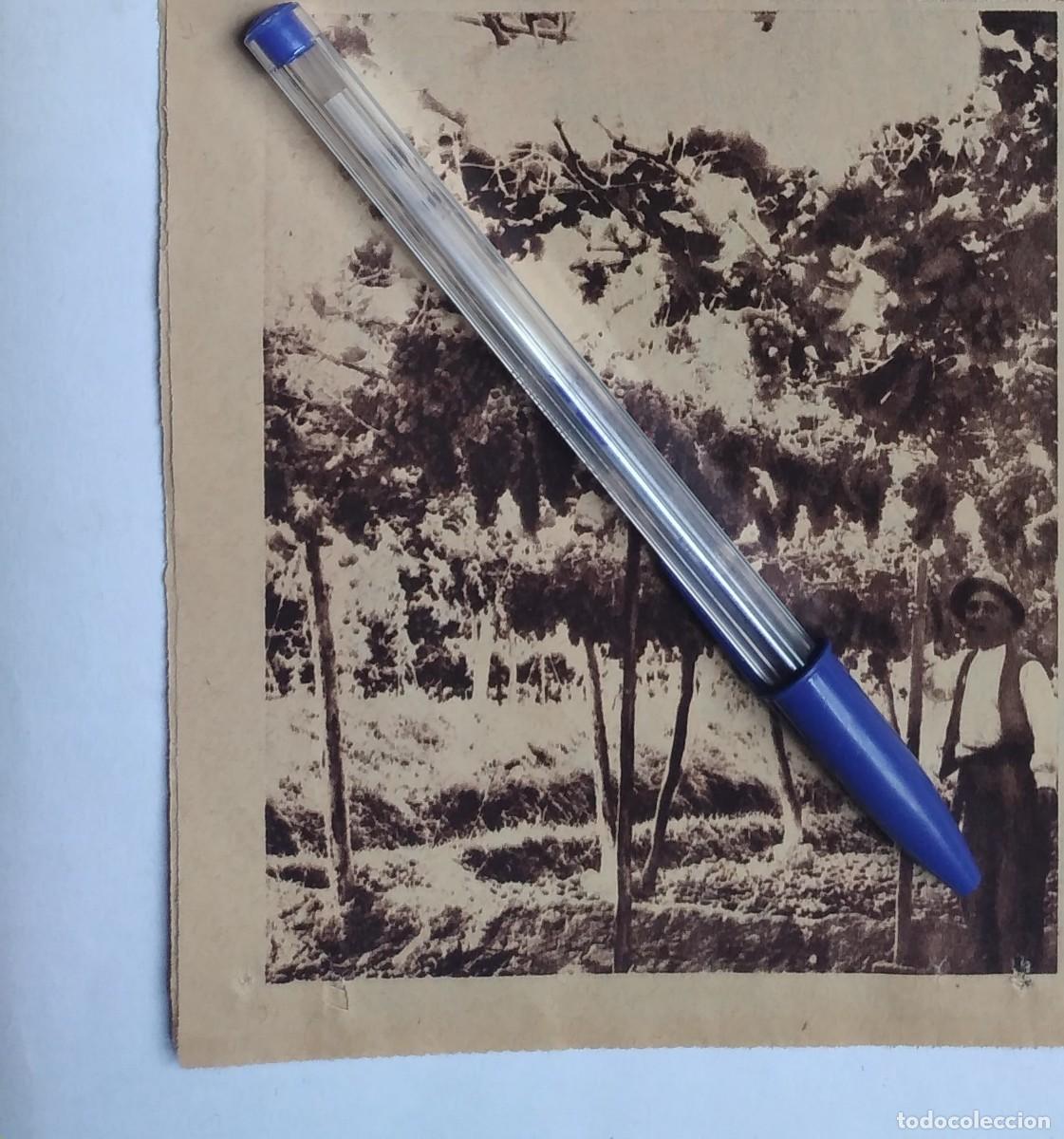Otros art&iacute;culos de coleccionismo en papel: ALHAMA DE MURCIA CASIMIRO CAYUELA ALEDO PARRA EN EL RAMBLAR RECORTE PRENSA A&Ntilde;O 1935