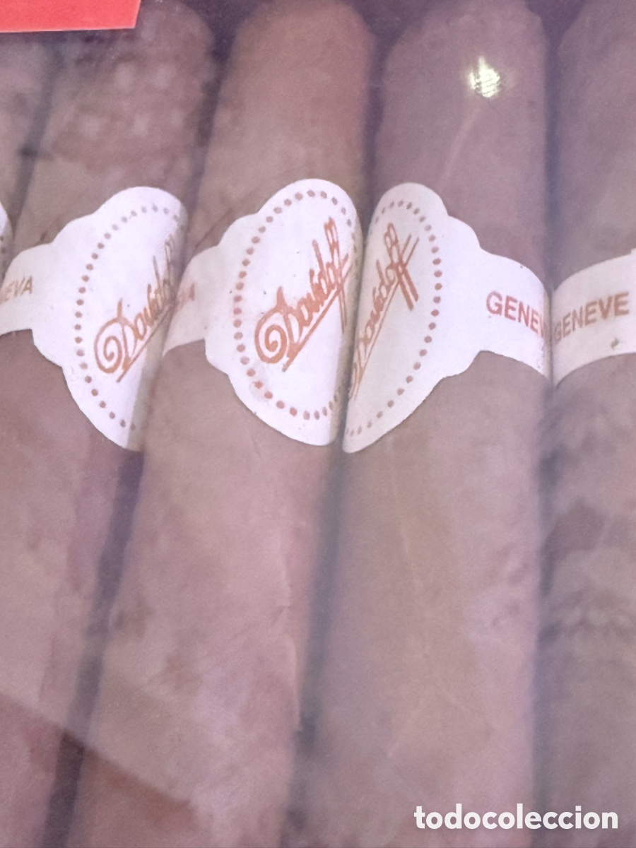 Otros art&iacute;culos de coleccionismo en papel: Caja de puros Davidoff - Foto 8