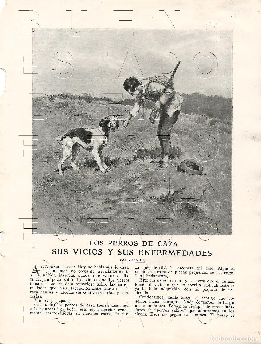 Otros art&iacute;culos de coleccionismo en papel: CAZA LOS PERROS SUS VIVIOS Y SUS ENFERMEDADES POR VENATOR 2 HOJAS M57