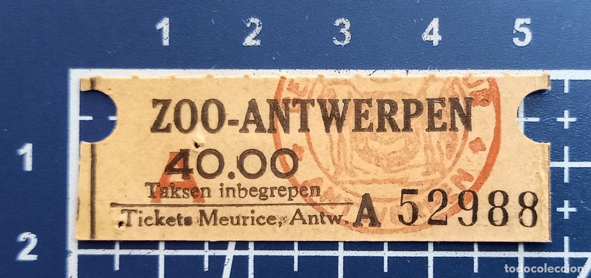 Paper Collecting Others: ENTRADA/TIQUET - ZOO - ANTWERPEN - AMBERES