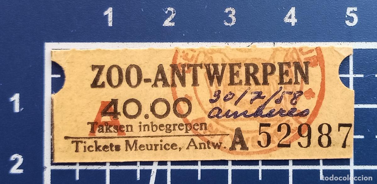 Paper Collecting Others: ENTRADA/TIQUET - ZOO - ANTWERPEN - AMBERES - 1958