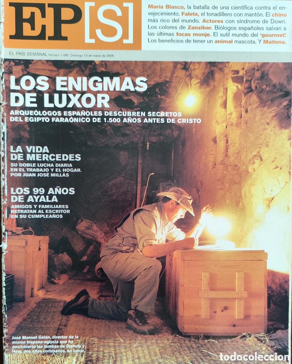 Otros art&iacute;culos de coleccionismo en papel: FALETE. EL PA&Iacute;S SEMANAL N&deg;1485 FECHA 13/03/2005