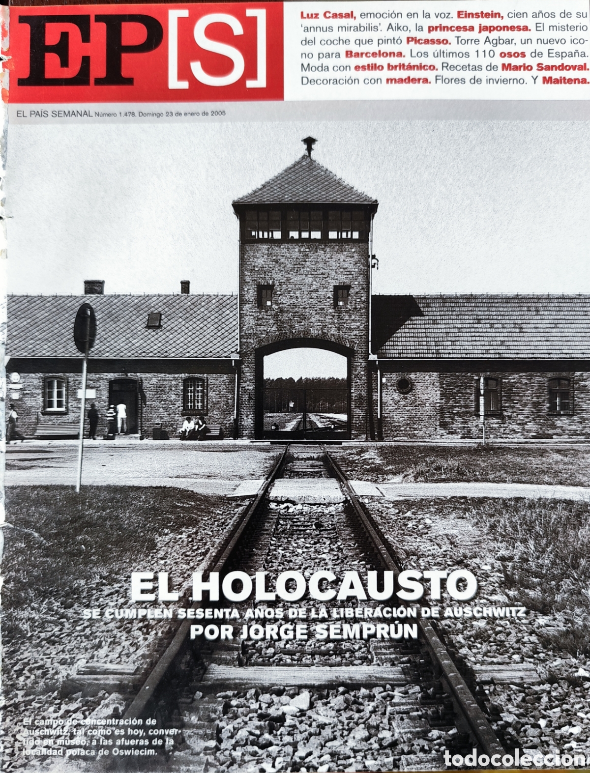 Outros artigos de papel: LUZ CASAL. EL PA&Iacute;S SEMANAL N&deg;1478. FECHA 23/01/2005