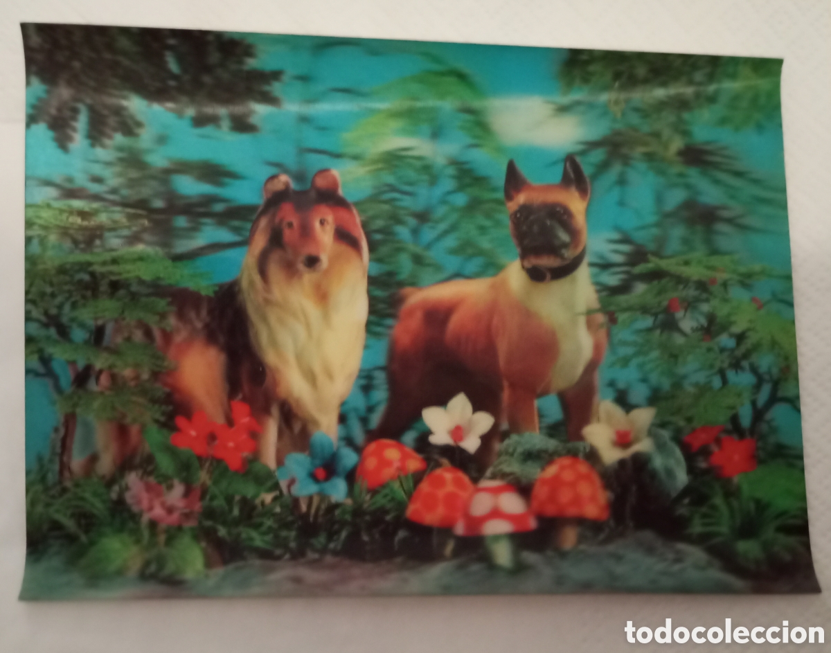 Otros art&iacute;culos de coleccionismo en papel: Postal 3 d perros impresa en japon