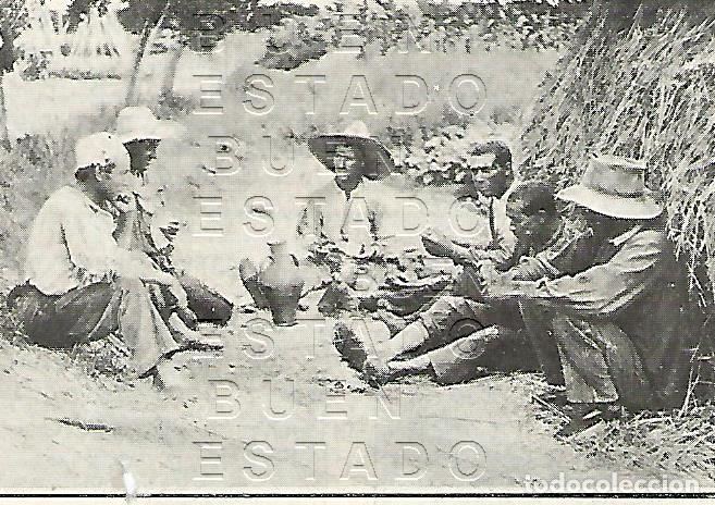Otros art&iacute;culos de coleccionismo en papel: EL CA&Ntilde;AMO EN VALENCIA CULTIVO 9X5 1905 CLIPPING M58