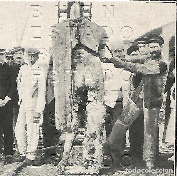 Otros art&iacute;culos de coleccionismo en papel: SANCTI PETRI CADIZ 8X8 1905 CLIPPING M58