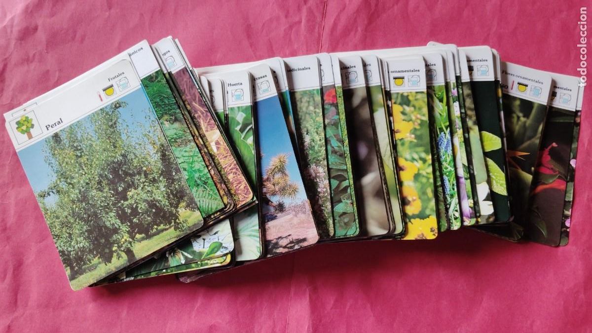 Otros art&iacute;culos de coleccionismo en papel: ARBOLES.-PLANTAS.-GRAN LOTE DE 250 FICHAS EXPLICATIVAS.-A&Ntilde;O 1983.