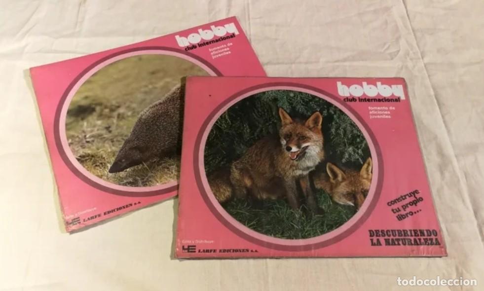 Otros art&iacute;culos de coleccionismo en papel: Lote 2 fasc&iacute;culos HOBBY, DESCUBRIENDO LA NATURALEZA. El meloncillo y el zorro