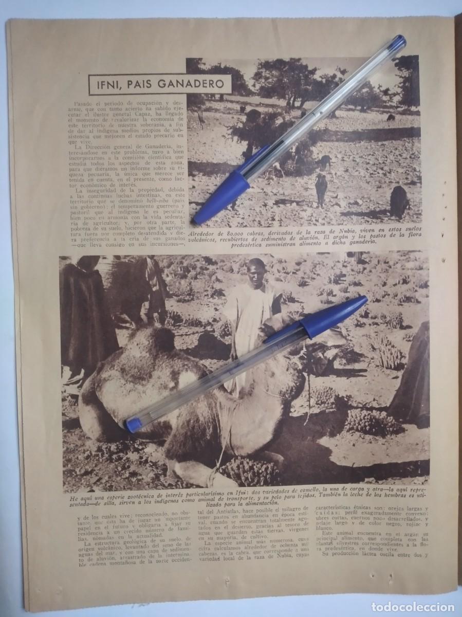 Otros art&iacute;culos de coleccionismo en papel: SIDI IFNI MARRUECOS ESPA&Ntilde;OL PA&Iacute;S GANADERO REPORTAJE DOS P&Aacute;GINAS DE PRENSA A&Ntilde;O 1935