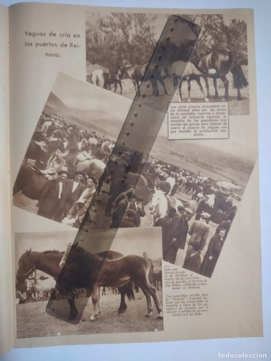 Otros art&iacute;culos de coleccionismo en papel: REINOSA SANTANDER CANTABRIA FERIA DE SAN MATEO CAMPO SANTIAGO YEGUAS DE CRIA HOJA DE PRENSA A&Ntilde;O 1935