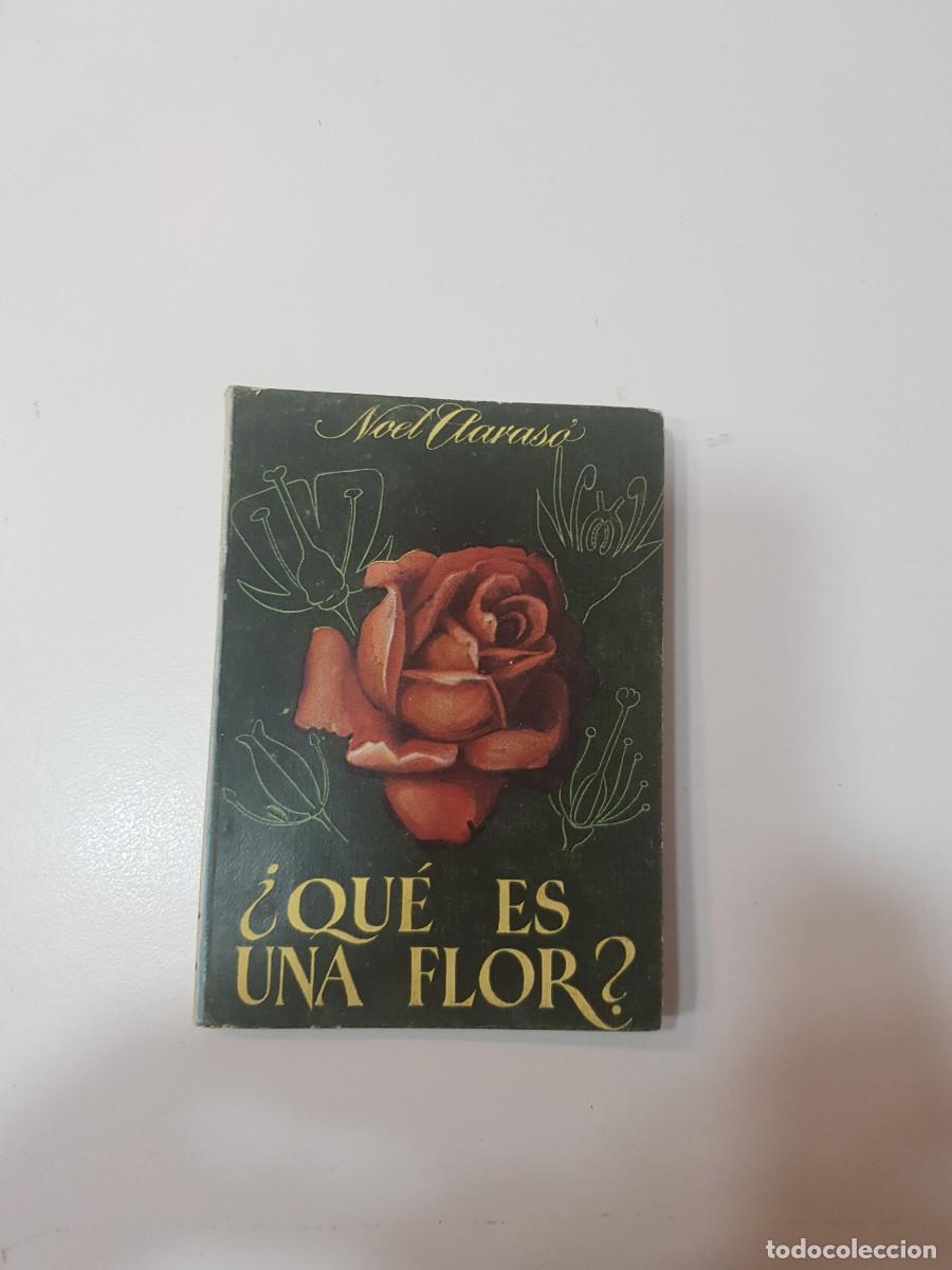 Otros art&iacute;culos de coleccionismo en papel: Libro de bolsillo PEQUE&Ntilde;OS GRANDES LIBROS ENCICLOPEDIA PULGA N&ordm;14 QUE ES UNA FLOR?