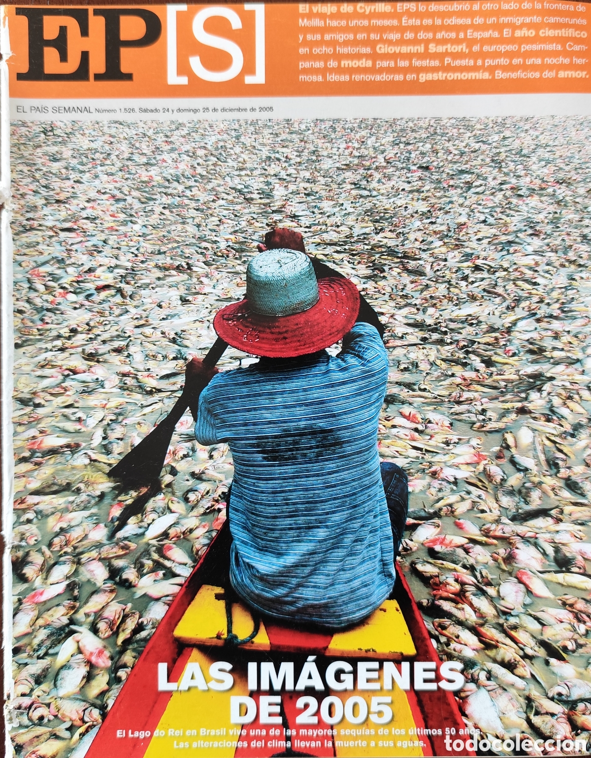 Otros art&iacute;culos de coleccionismo en papel: GIOVANNI SARTORI. EL PA&Iacute;S SEMANAL. FECHA 24/12/2005