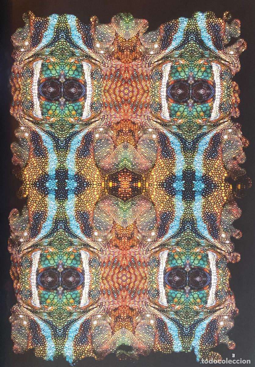 Otros art&iacute;culos de coleccionismo en papel: Fotograf&iacute;a art&iacute;stica, fotomontaje abstracto. Tama&ntilde;o folio, enmarcable. Nueva.