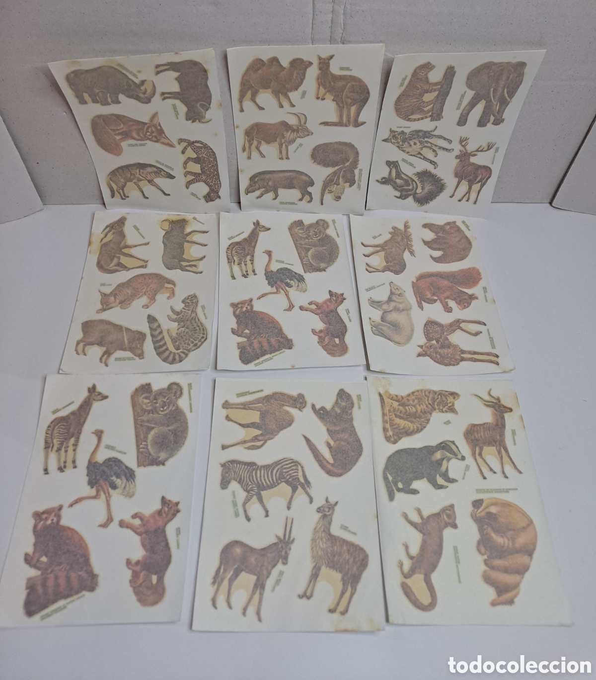 Otros art&iacute;culos de coleccionismo en papel: LOTE 9 L&Aacute;MINAS CALCOMAN&Iacute;AS ORTEGA. SERIE FAUNA. NUEVAS. CONSERVAN PAPEL ARROZ 9 10 11 12 13 14 15 16