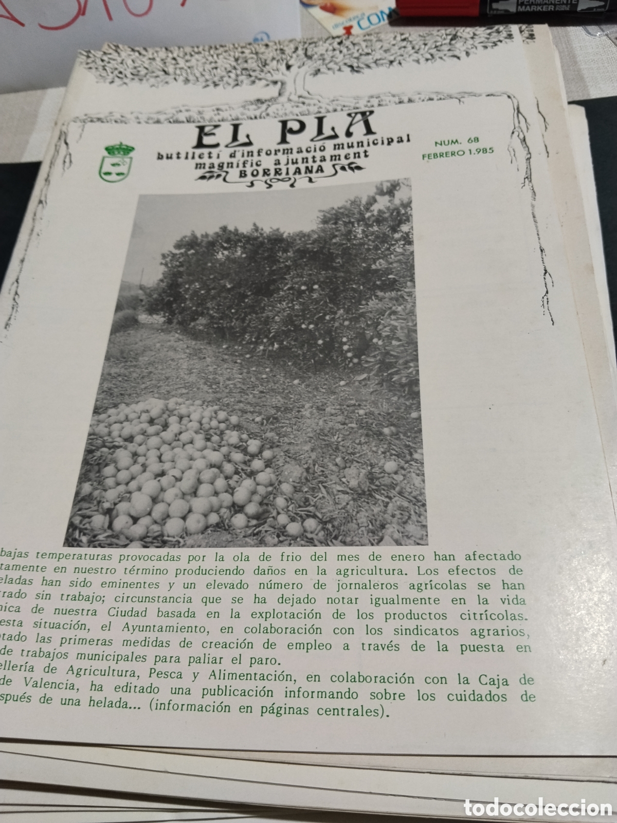 Otros art&iacute;culos de coleccionismo en papel: Bolet&iacute;n informativo municipal EL PLA Burriana