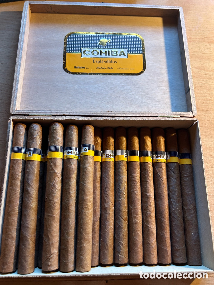Otros art&iacute;culos de coleccionismo en papel: Puros Cohiba Espl&eacute;ndidos Originales ( Habana, Cuba )