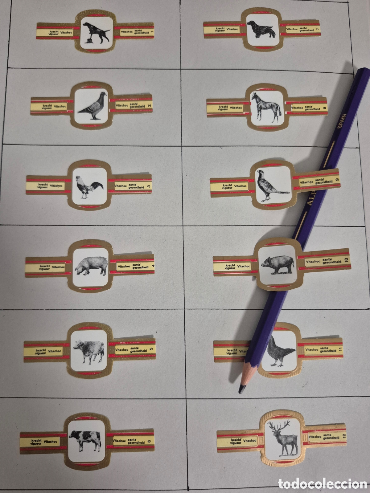 Otros art&iacute;culos de coleccionismo en papel: 10 VITOLAS ANIMALES SERIE COMPLETA