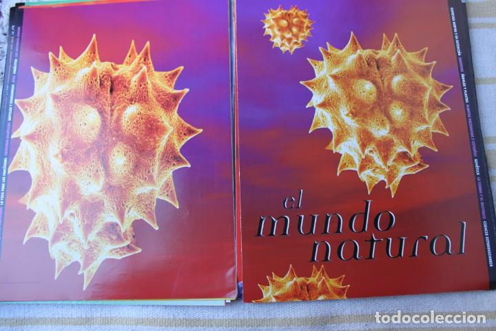 Coleccionismo deportivo: LIBRO GUINNESS DE LOS RECORS 1999; MARCA - Foto 5