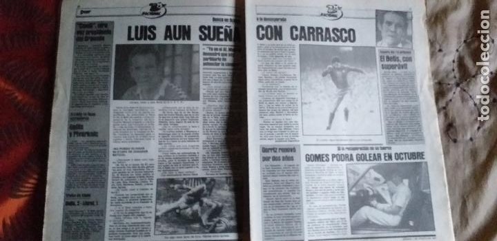Coleccionismo deportivo: SPORT-Nº608-1981-36 PAGINAS-URRUTI-MORAN-UDO LATTEK-AMADOR-CUSTER-CANITO-CARRASCO-LUIS ARAGONES - Foto 7 - 21071671
