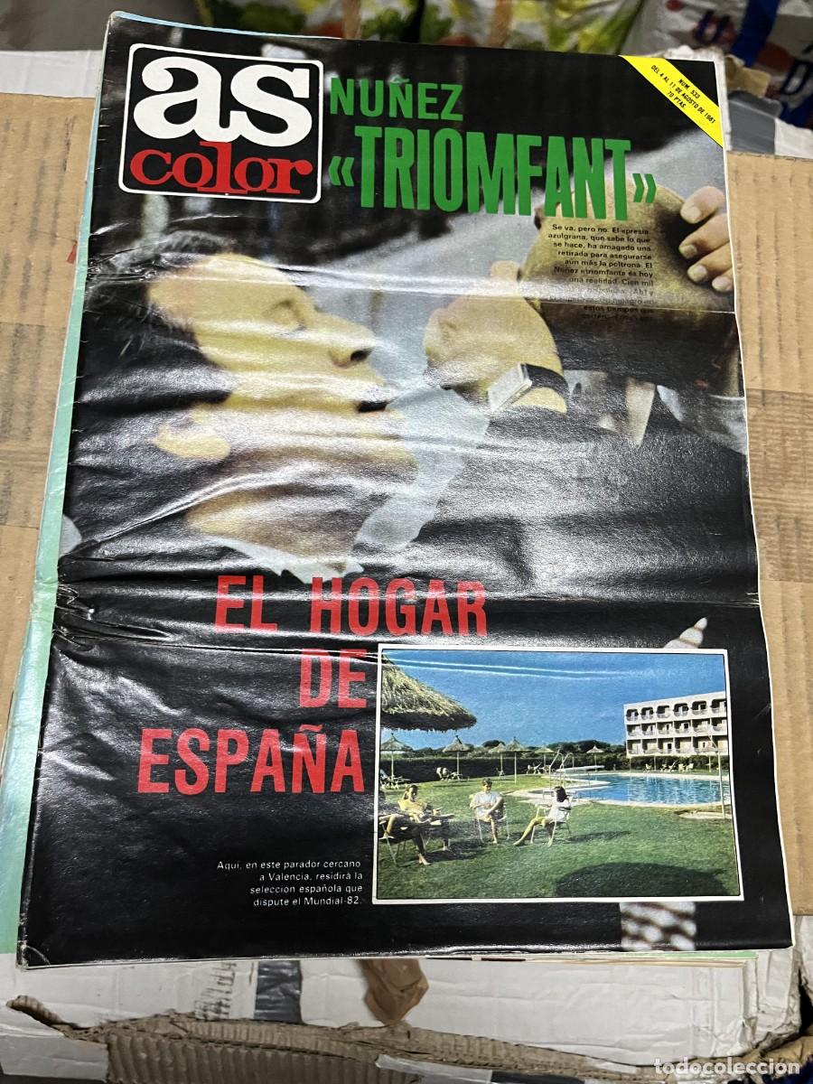 Collezionismo sportivo: AS COLOR # 533 (11-8-1981) JOSE LUIS NU&Ntilde;EZ SAN JOSE REAL MADRID DEL BOSQUE PAPIK CHRIS EVERT LLOYD
