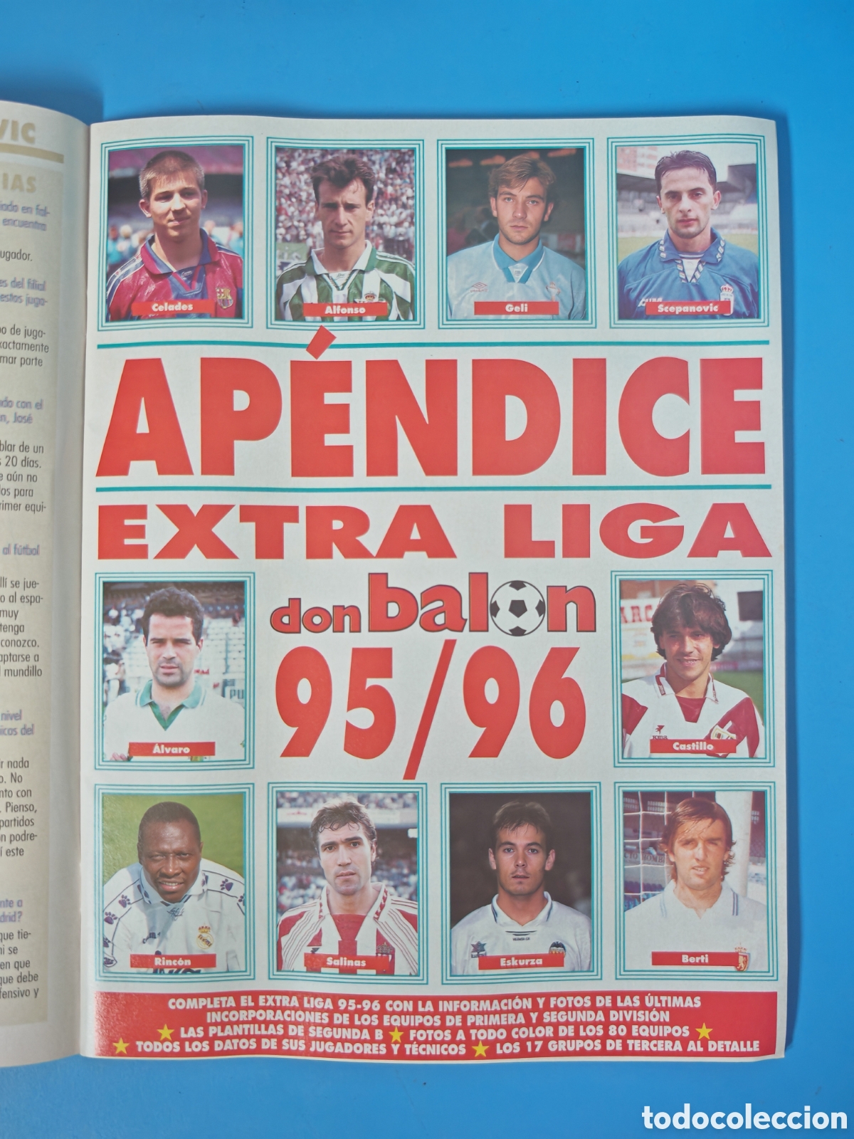 Coleccionismo deportivo: Ap&eacute;ndice Don Bal&oacute;n 95-96