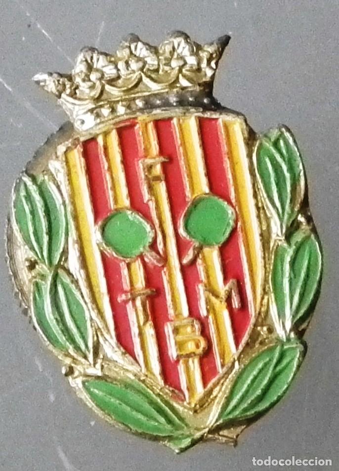 Sammelleidenschaft Sport: ANTIGUO PIN DE SOLAPA FEDERACI&Oacute;N DE TENIS DE MESA (BARCELONA)