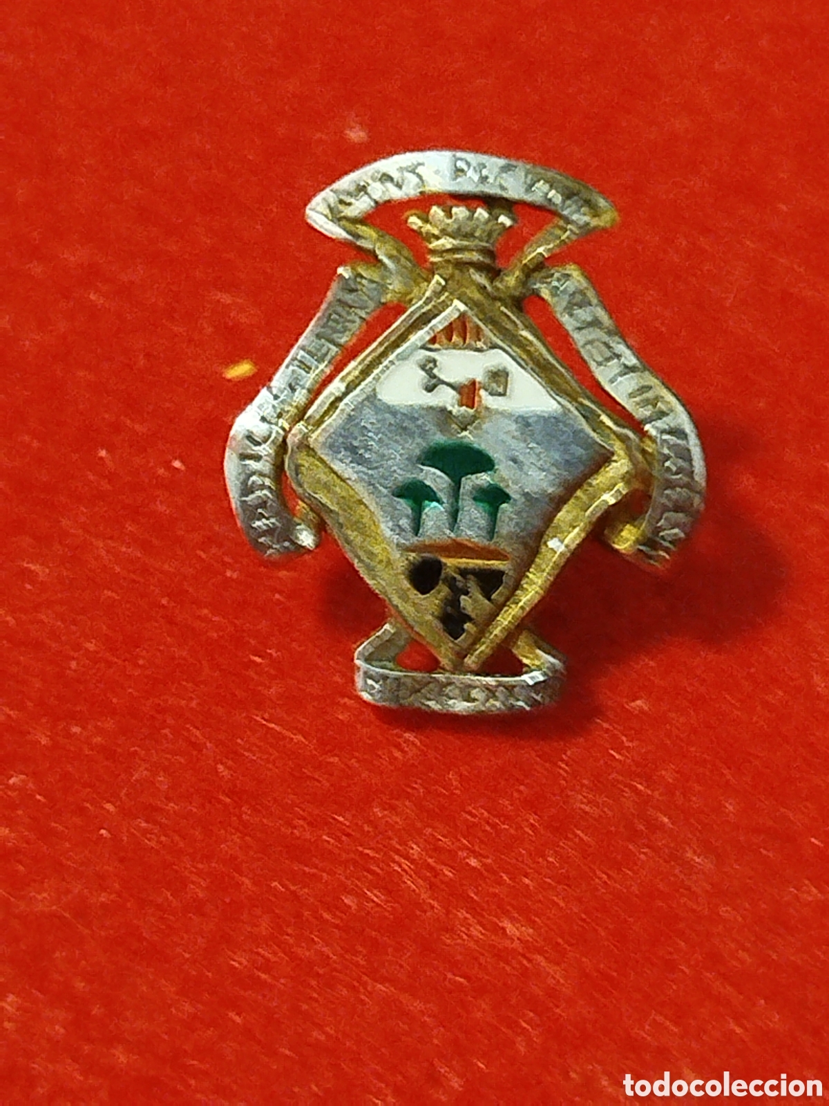 Sammelleidenschaft Sport: INSIGNIA HER&Aacute;LDICAS.PINOSO .ALICANTE