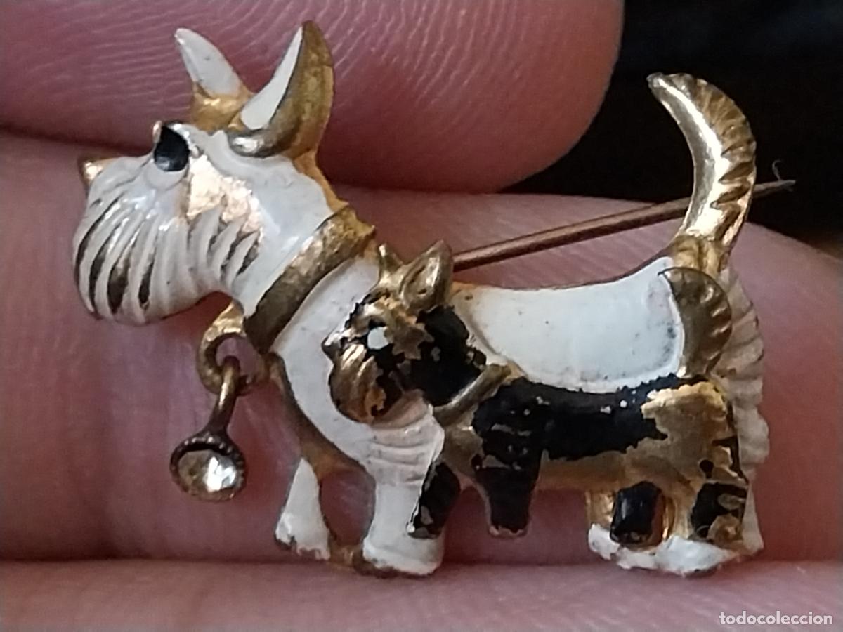 Sammelleidenschaft Sport: PERROS TERRIER INSIGNIA ALFILER PINTURA LACADA 2,5CM LARGO