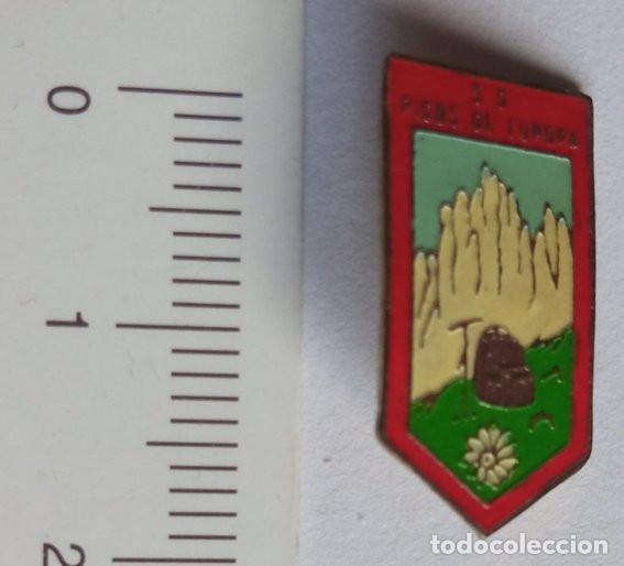 Coleccionismo deportivo: INSIGNIA DE ALFILER - SOCIEDAD DEPORTIVA PICOS DE EUROPA