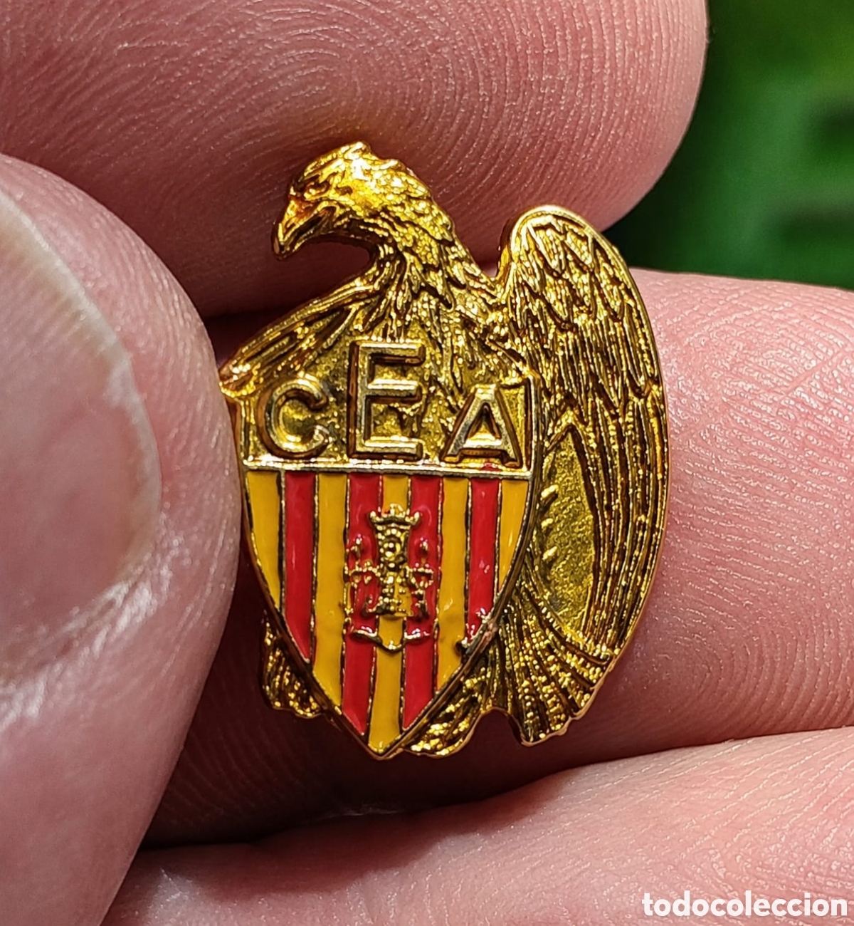 Coleccionismo deportivo: Antiguo pin Centro de Excursionistas de Alcoy