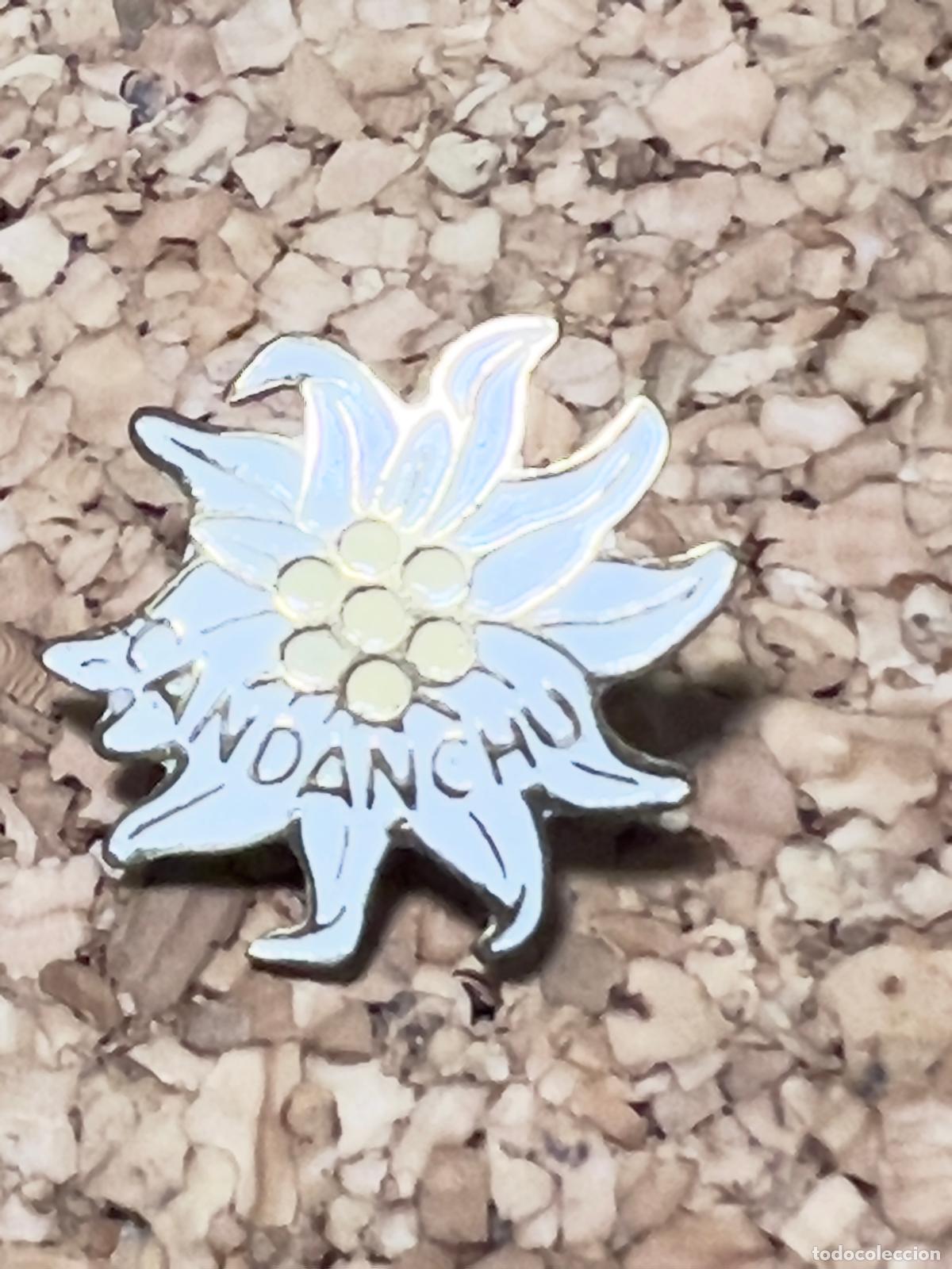 Coleccionismo deportivo: Insignia aguja deporte invierno esqu&iacute; alpino excursi&oacute;n CANCANCH&Uacute; FLOR de NIEVE