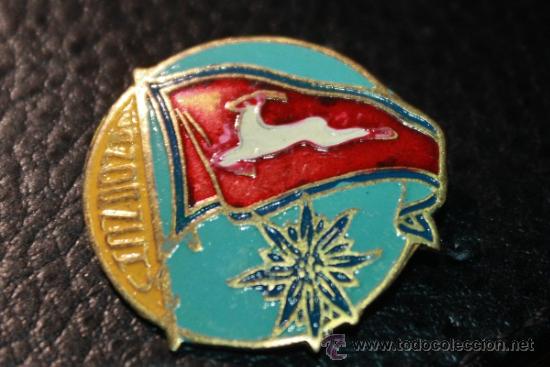 Coleccionismo deportivo: INSIGNIA DE ESQUI-SKI A&Ntilde;OS 50