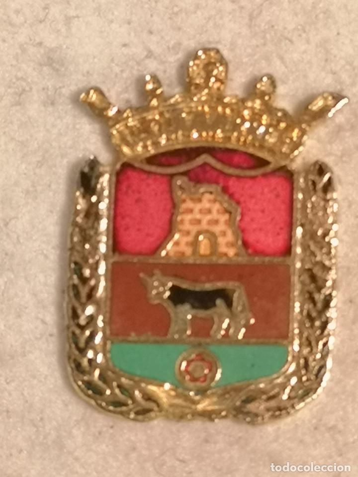 Coleccionismo deportivo: PIN FUTBOL - VALENCIA - NAVARR&Eacute;S - UD NAVARR&Eacute;S