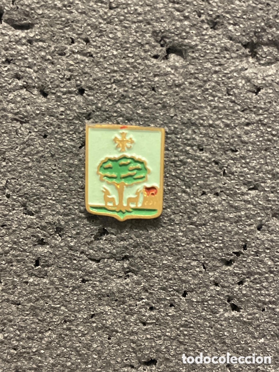 Collectionnisme sportif: Pin 133 C.D. CABRALES - Carre&ntilde;a de Cabrales (Asturias)