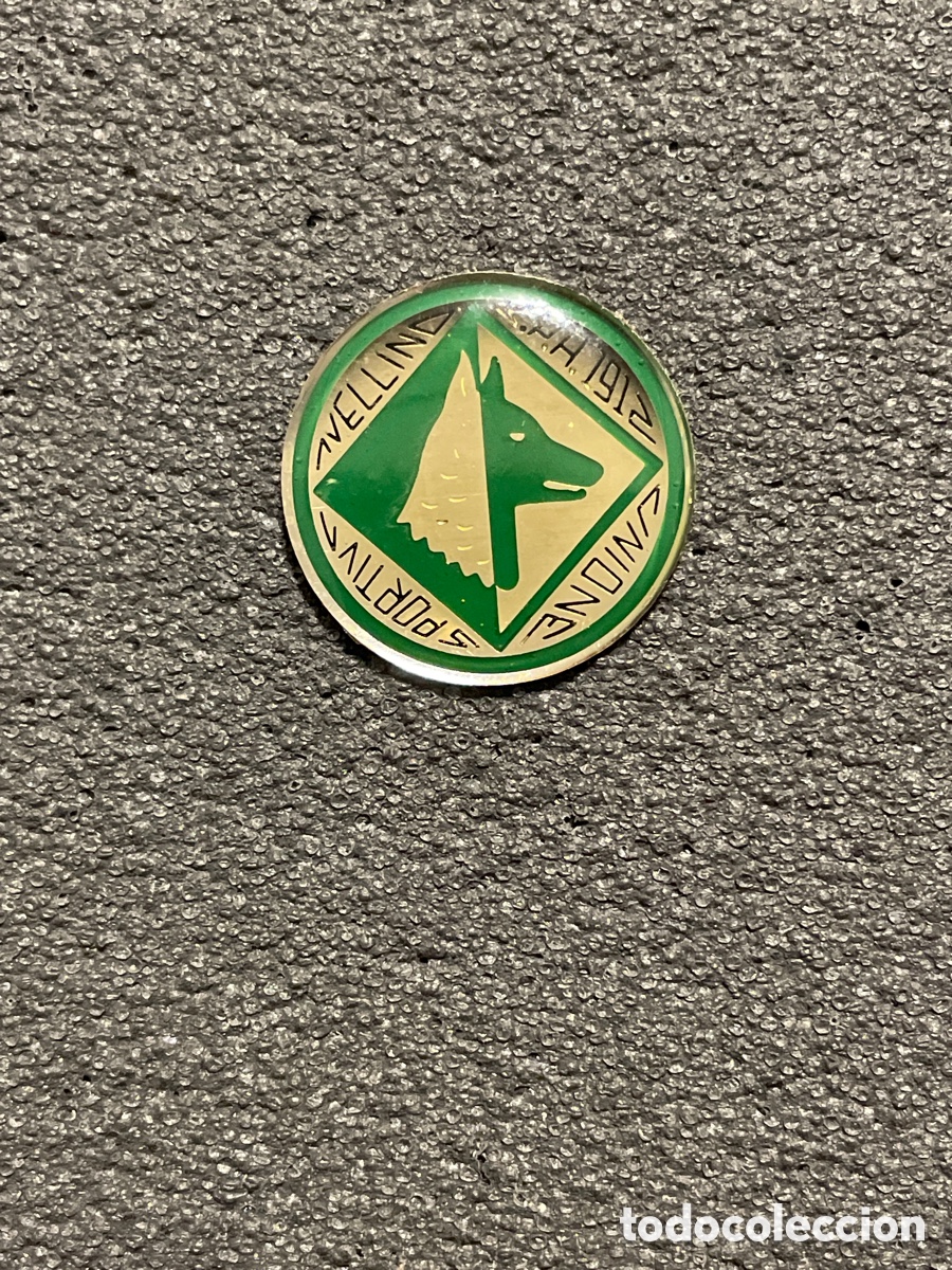 Coleccionismo deportivo: Pin 21 U.S. AVELLINO - Avellino