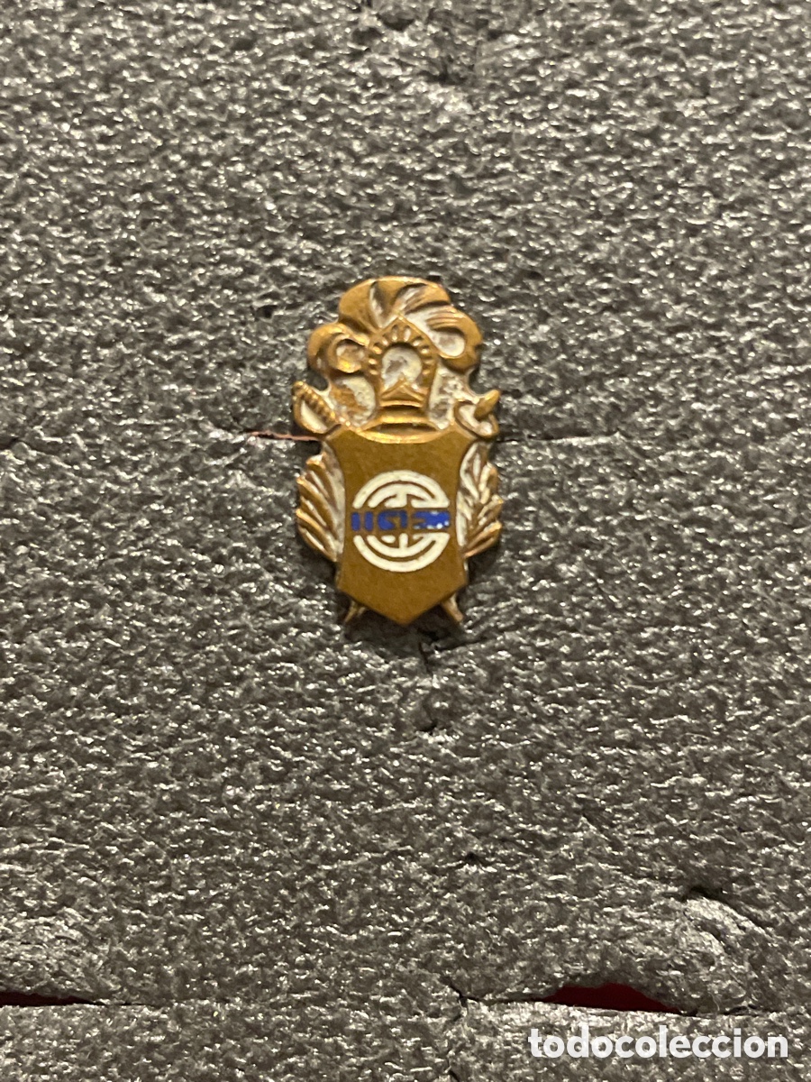 Coleccionismo deportivo: Insignia CLUB DE GIMNASIA Y ESGRIMA LA PLATA - Buenos Aires (Argentina)